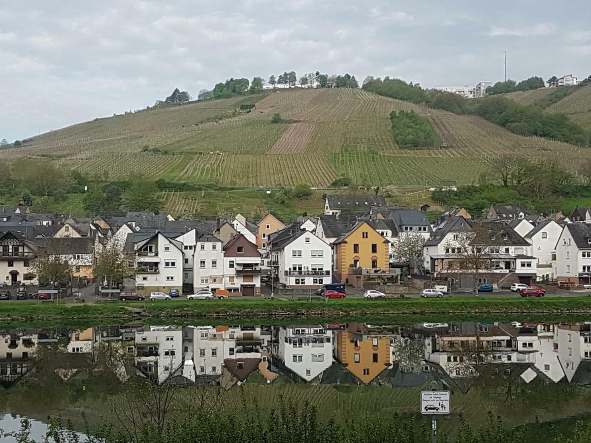 Haus Marlene Apartment Zell an der Mosel Ngoại thất bức ảnh